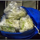 Image for article titled The Craziest Stuff People Tried to Sneak Onto Airplanes This Year